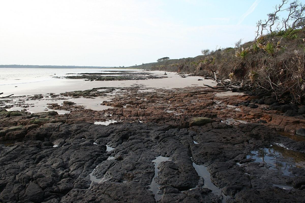 Dark rock ledges and tide pools on an empty beach at Big Talbot Island, Florida, with calm water and coastal scrub